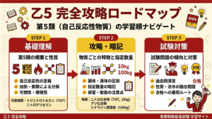 乙5ロードマップ